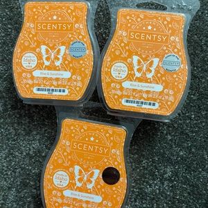 Rise and sunshine new scentsy bars 3 bundle